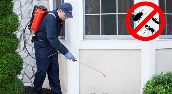 Soma Karınca İlaçlama böcek ilaçlama ve haşere kontrolü — ilaclama-tr.com